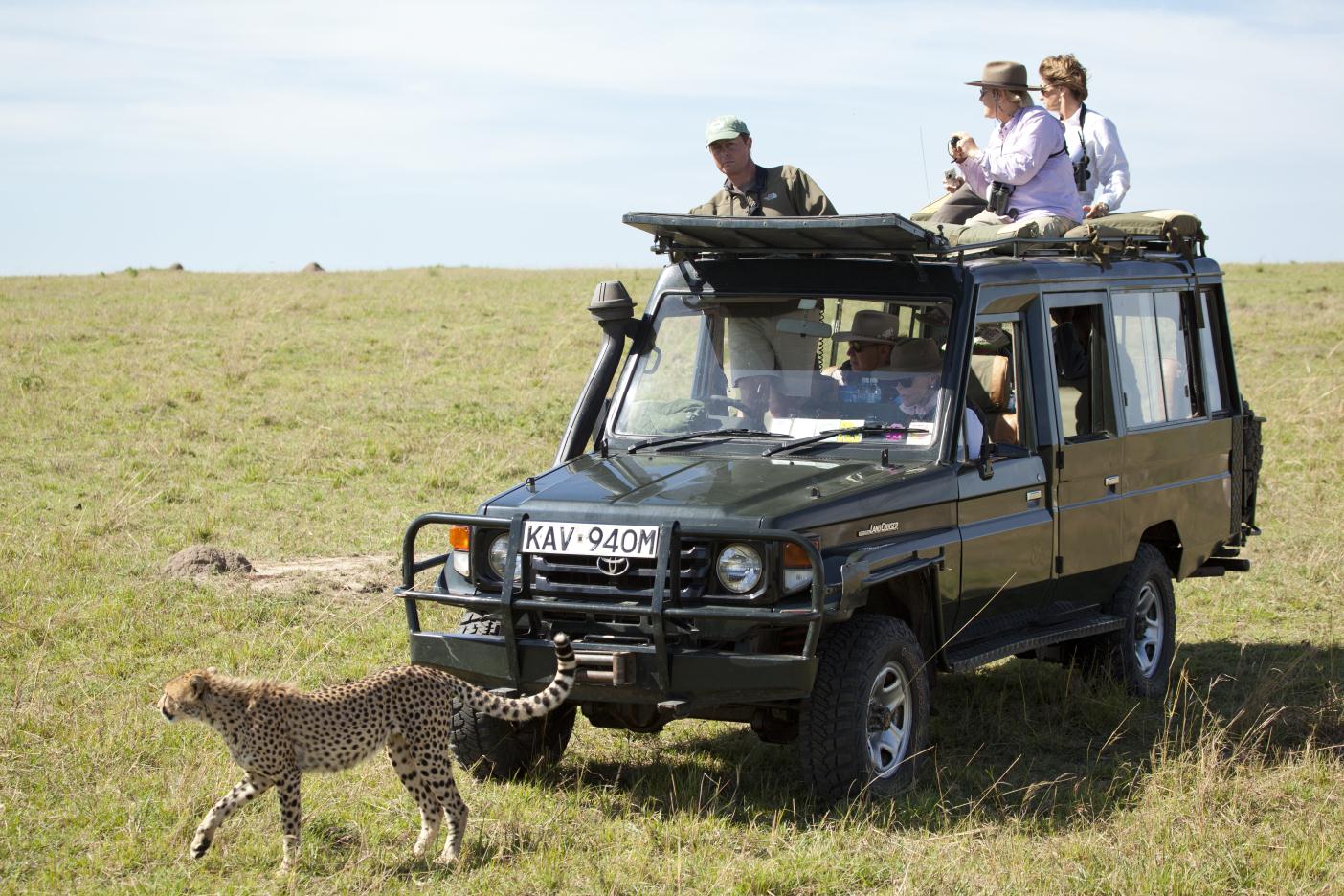Car batteries in zambia
